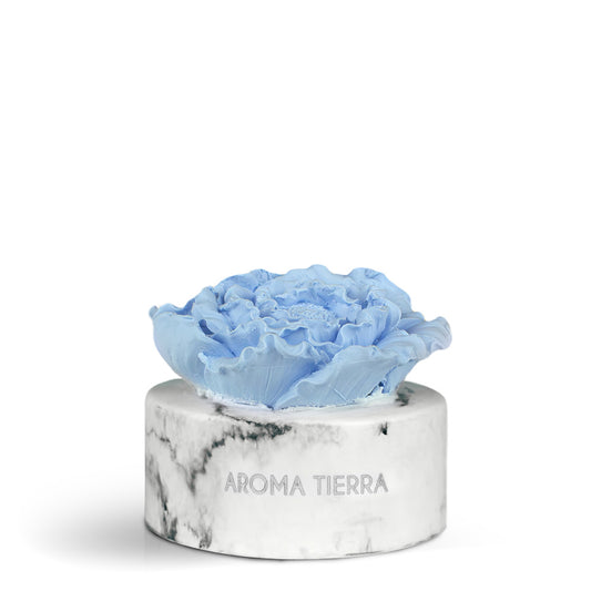 cera flora blue flower ceramic diffuser non-electric passive