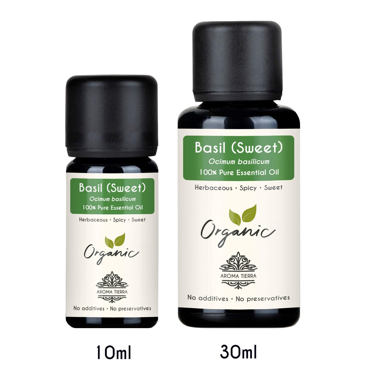 Organic Basil Essential Oil (Sweet) - 100% Pure Natural
