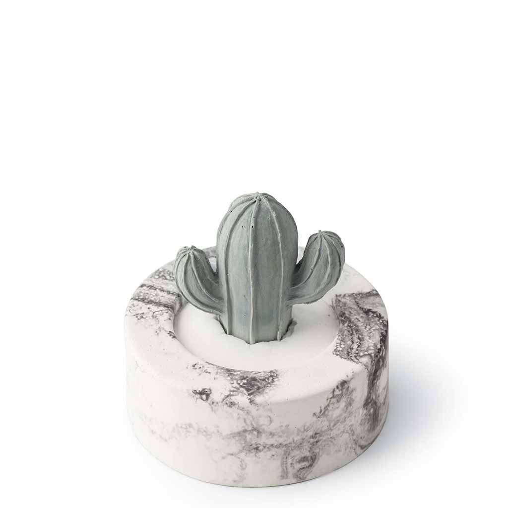 Aroma Tierra Cera Cacti essential oil passive diffuser hassle-free, eco friendly.