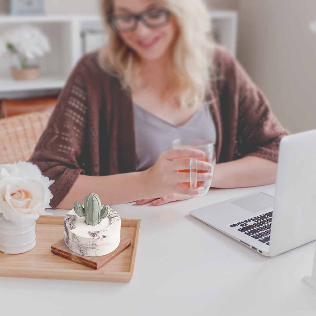Cera Cacti Ceramic Essential Oil Diffuser ideal for creating a calm, aromatic atmosphere.