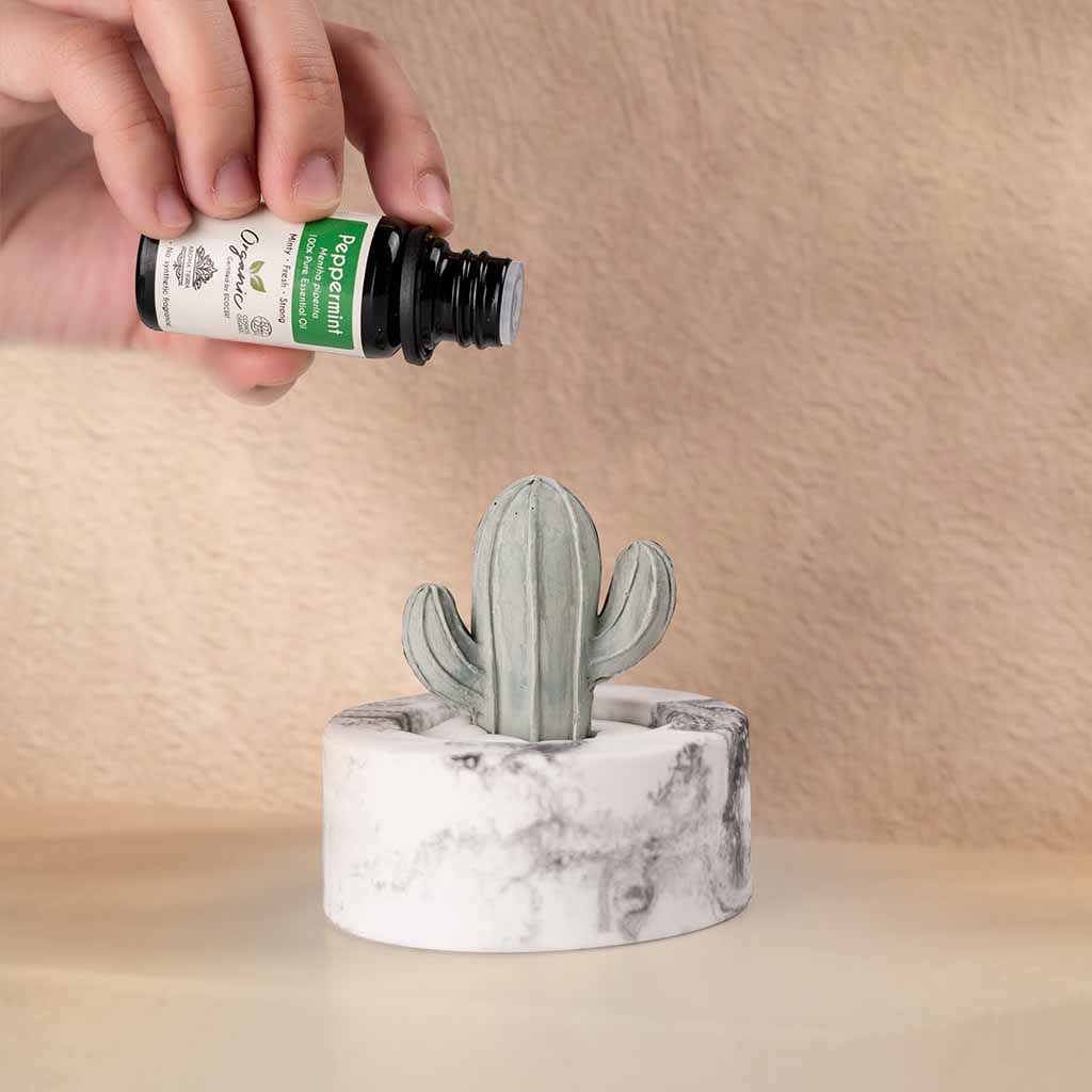 Aroma Tierra Cera Cacti essential oil non electric diffuser, with cactus pattern elegant ceramic design