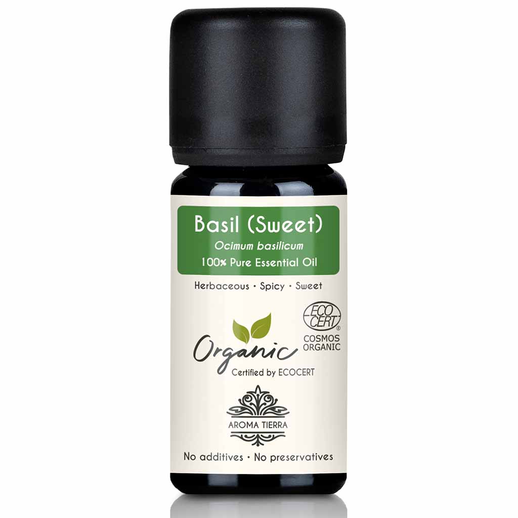 Aroma Tierra Basil (sweet) essential oil team steam distillation of leaves of organic Sweet Basil herb Ocimum basilicum, 10 ml.