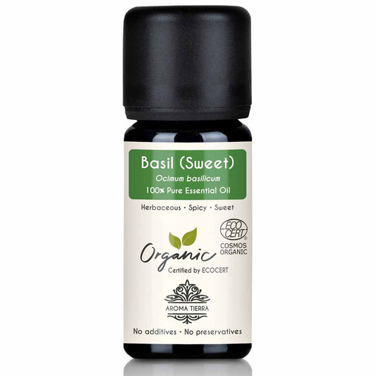 Aroma Tierra Basil (sweet) essential oil team steam distillation of leaves of organic Sweet Basil herb Ocimum basilicum, 10 ml.