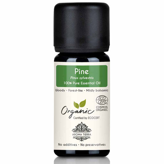 Aroma Tierra Organic Pine essential oil steam distillation of Scotch Pine needles, Pinus sylvestris, 10 ml