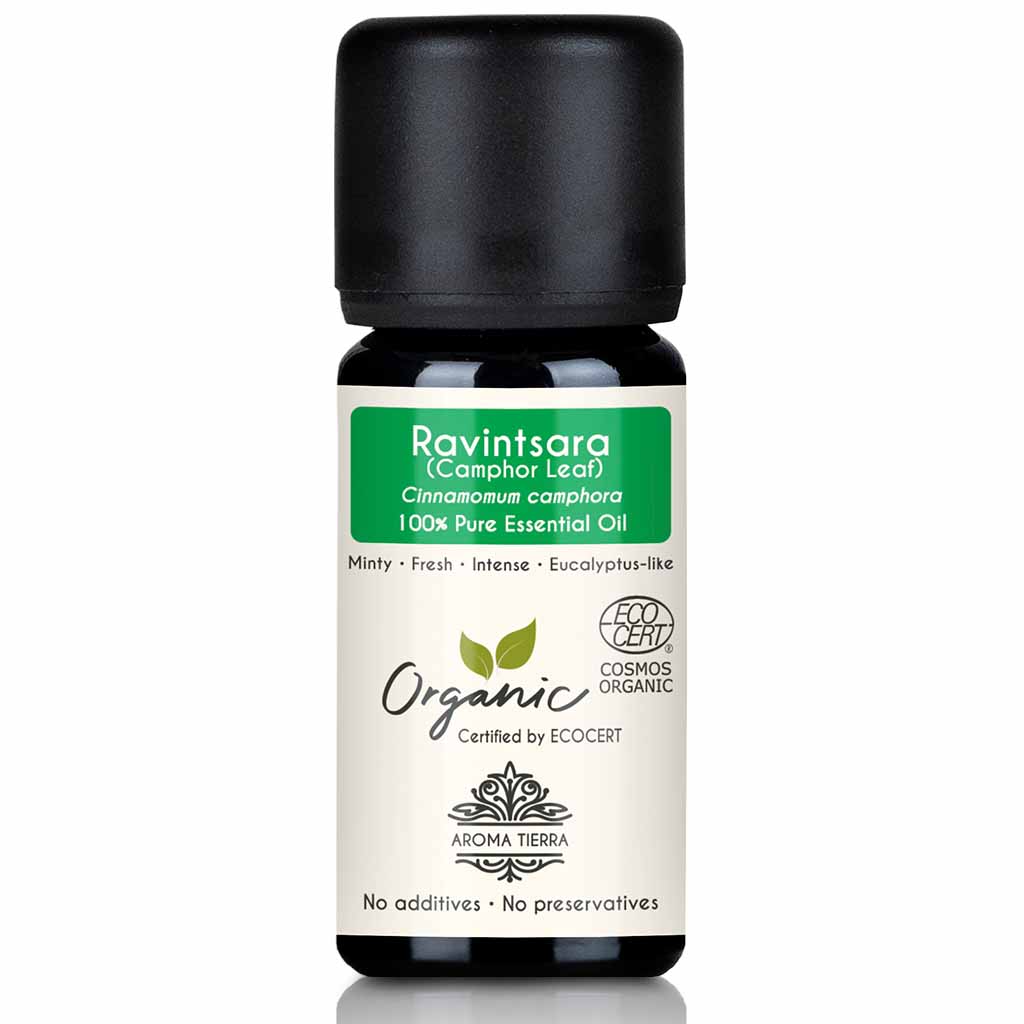 Aroma Tierra Organic Ravintsara Camphor essential oil steam distilation of leaves of organic Cinnamomum camphora, 10 ml.