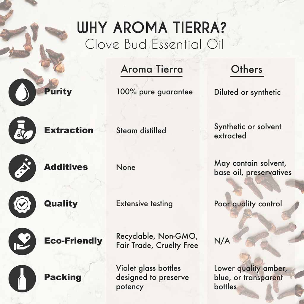 Aroma Tierra Clove bud essential oil from Sri Lanka, soothe toothaches and gum pain, analgesic.