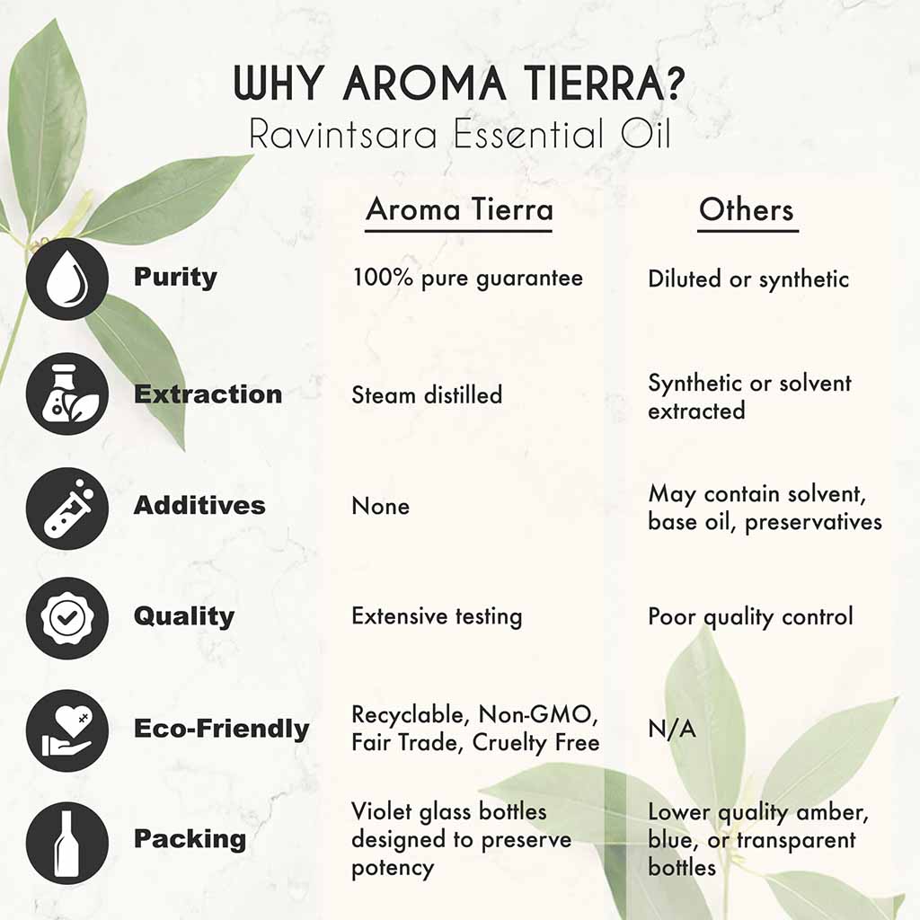 Aroma Tierra Organic Ravintsara or Camphor essential oil from Madagascar, powerful antiviral, expectorant, and decongestant