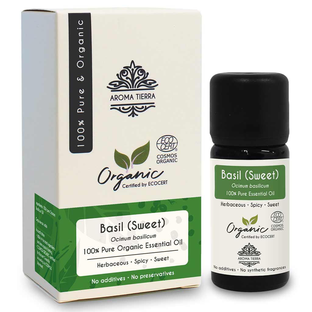 Best Organic Basil sweet essential oil  fights infections, soothes headache, anti-aging.
