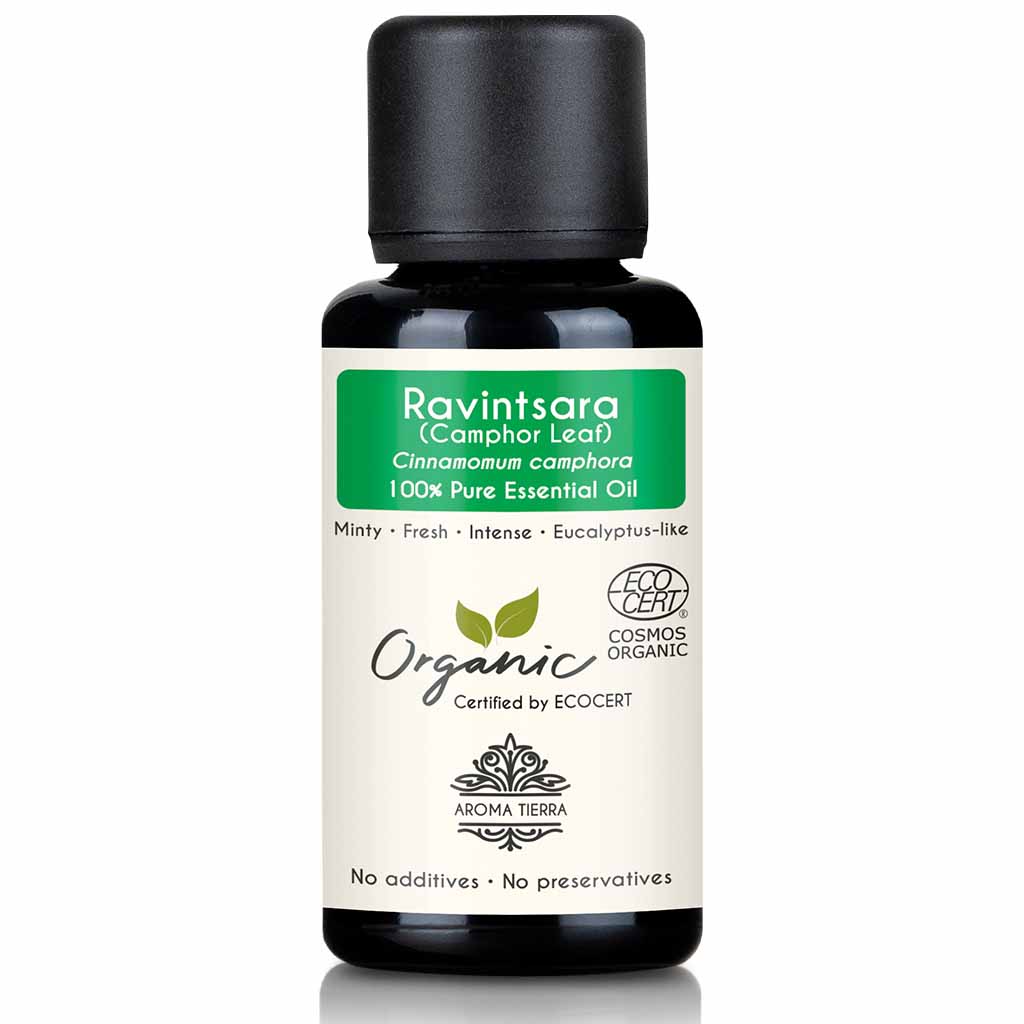 Organic ravintsara essential oil natural therapeutic grade, 30 ml.