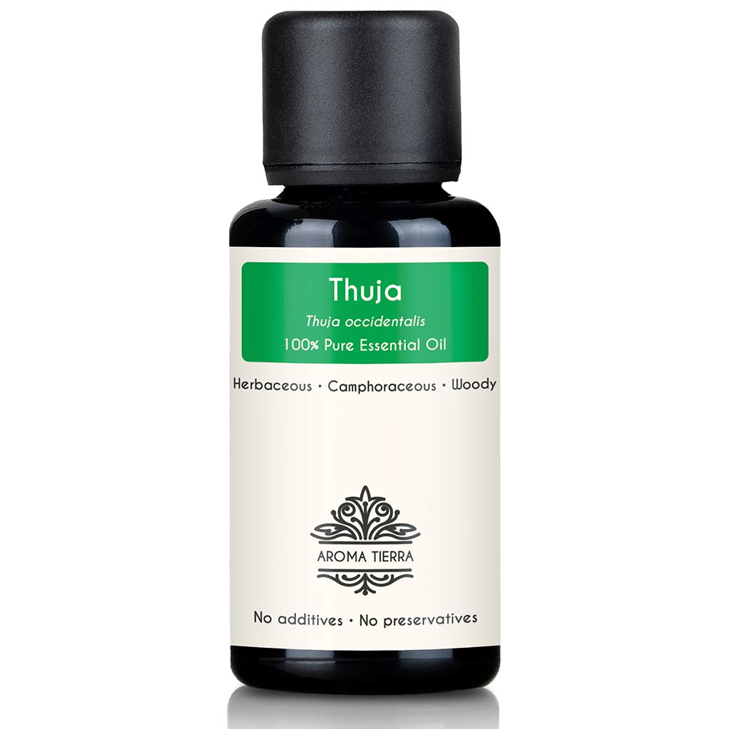 Thuja Essential Oil (Cedar Leaf) - 100% Pure Natural