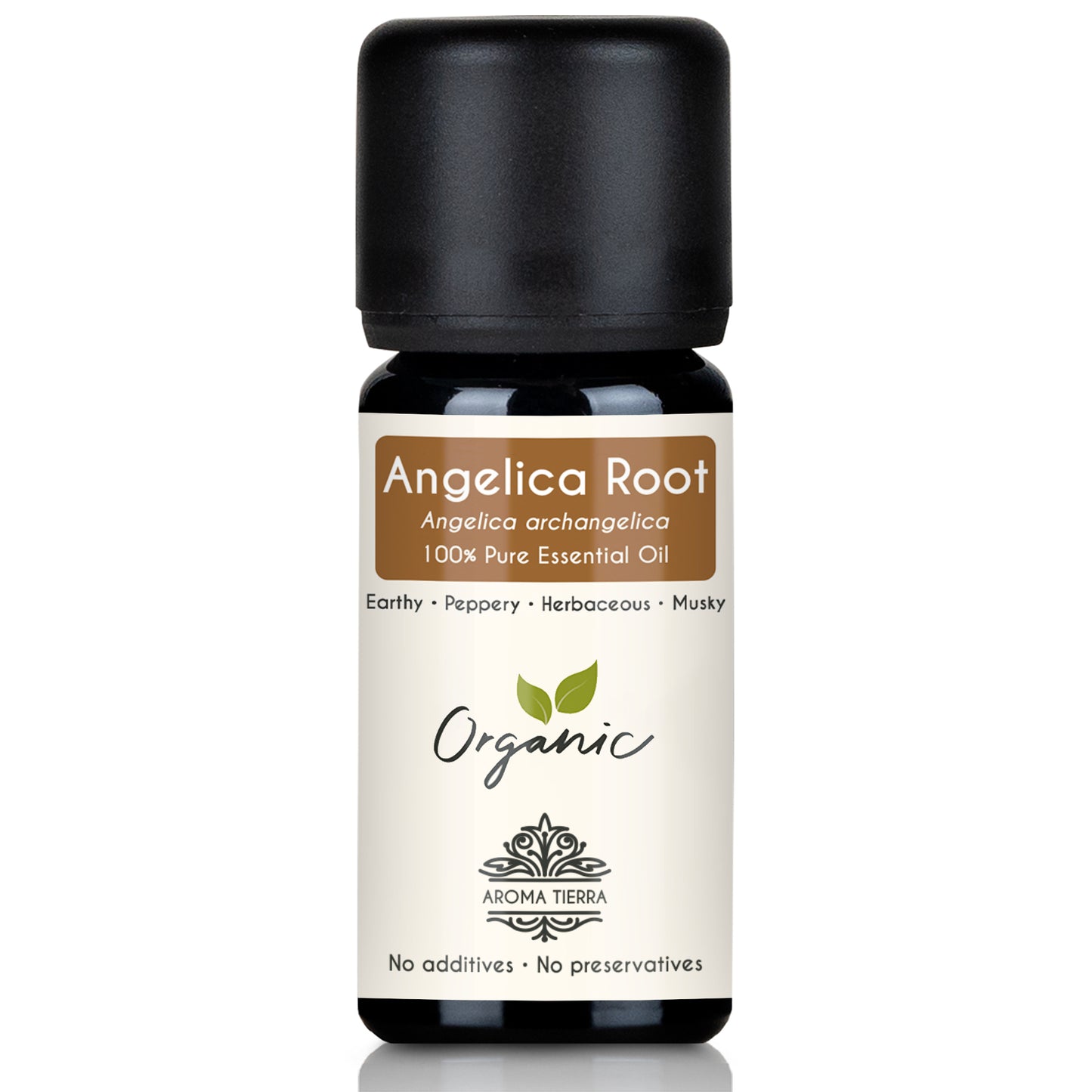 Organic Angelica Root Essential Oil - 100% Pure Natural