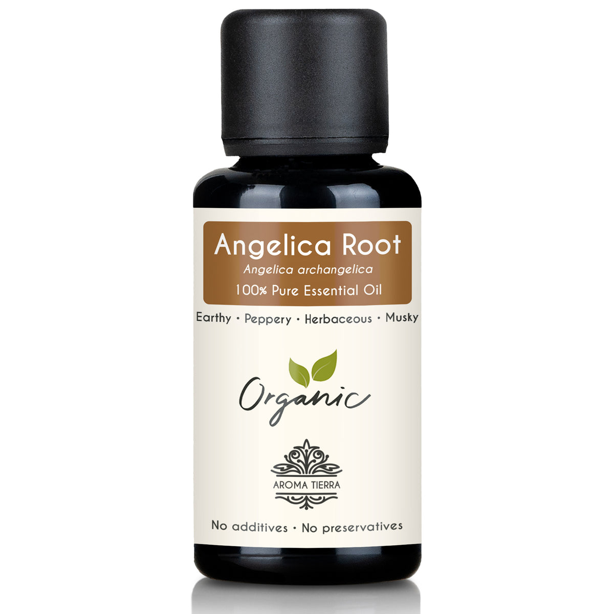 Galangal Root Essential Oil - The Essential Oil Advisor Galangal Root Essential Oil - The Essential Oil Advisor