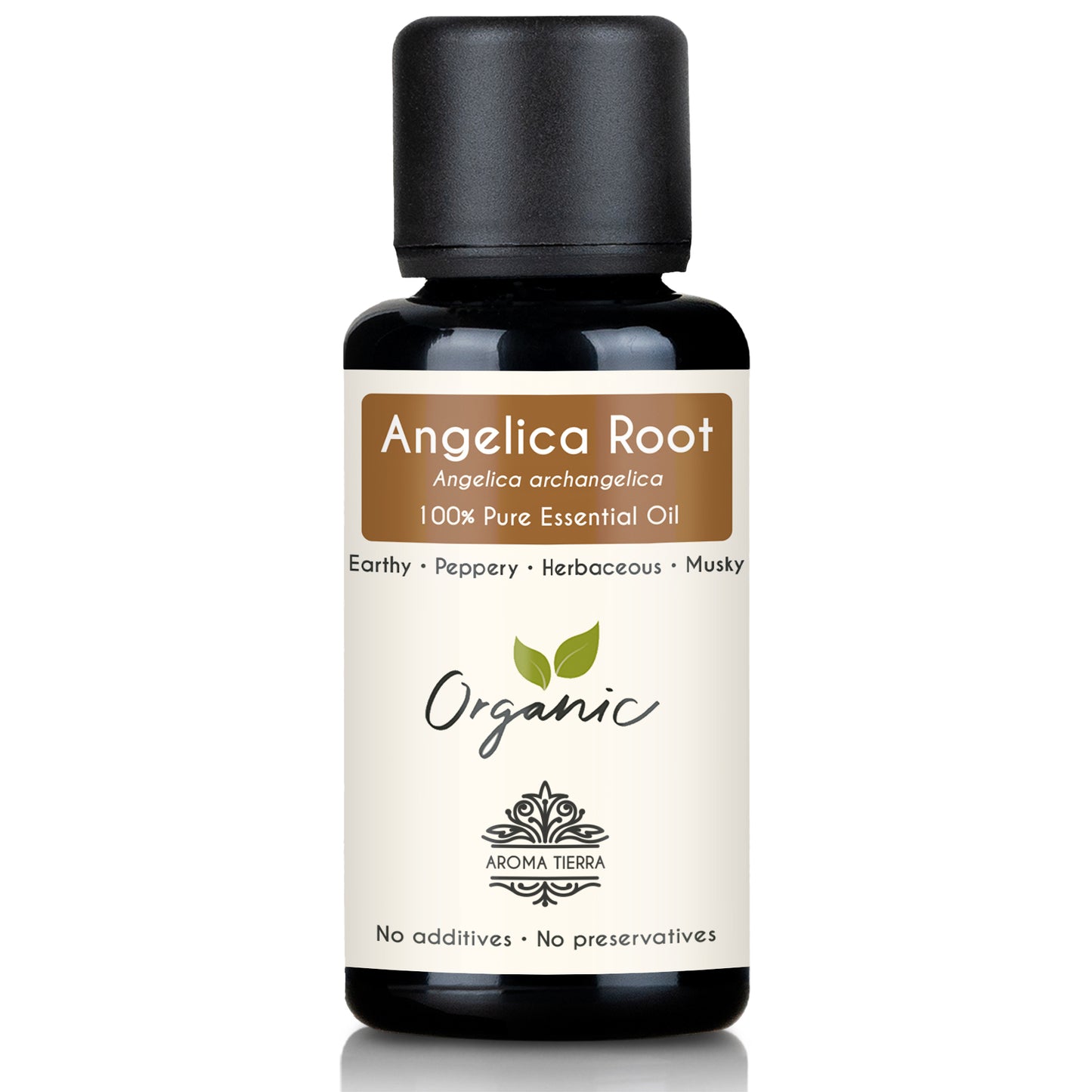 Organic Angelica Root Essential Oil - 100% Pure Natural