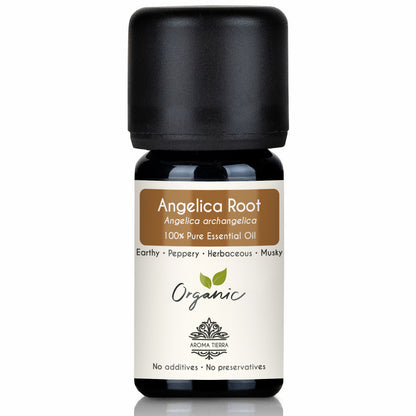 Organic Angelica Root Essential Oil - 100% Pure Natural