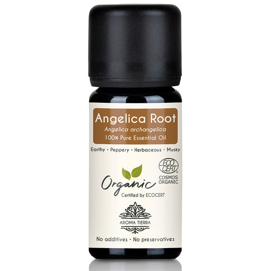 Organic Angelica Root Essential Oil - 100% Pure Natural