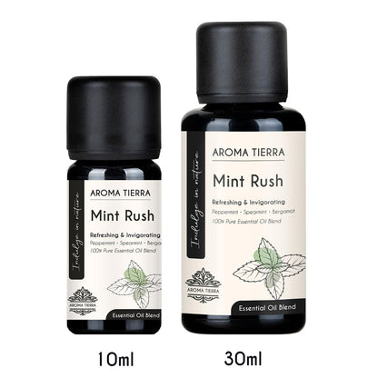 Mint Rush Essential Oil