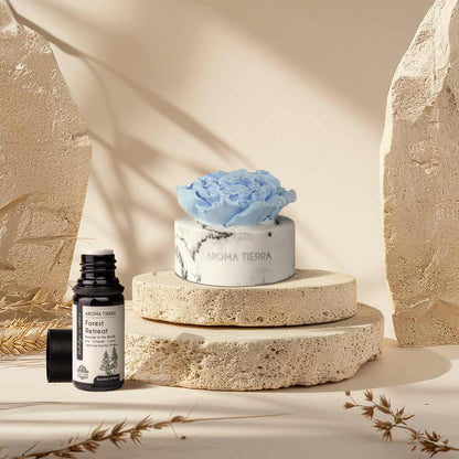 cera flora essential oil diffuser with forest retreat essential oil blend