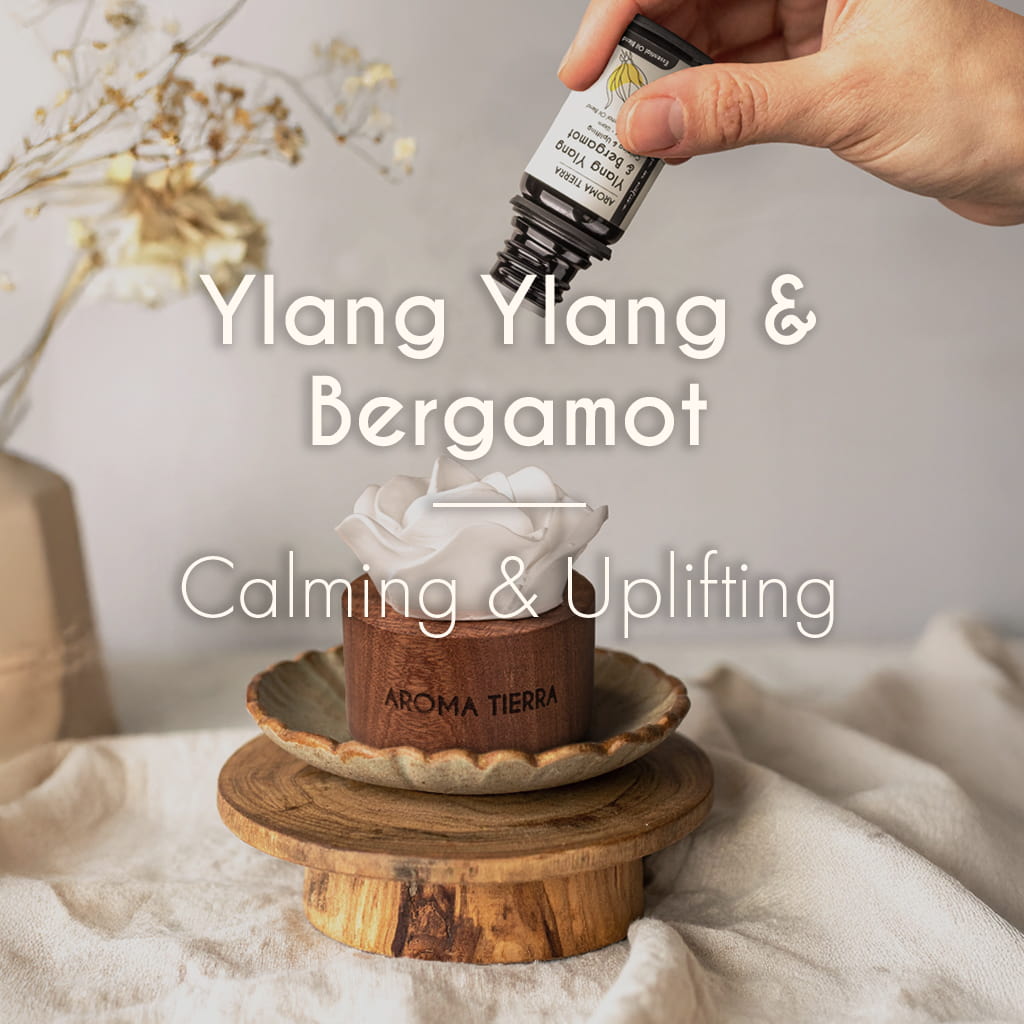 Ylang Ylang & Bergamot Essential Oil Blend