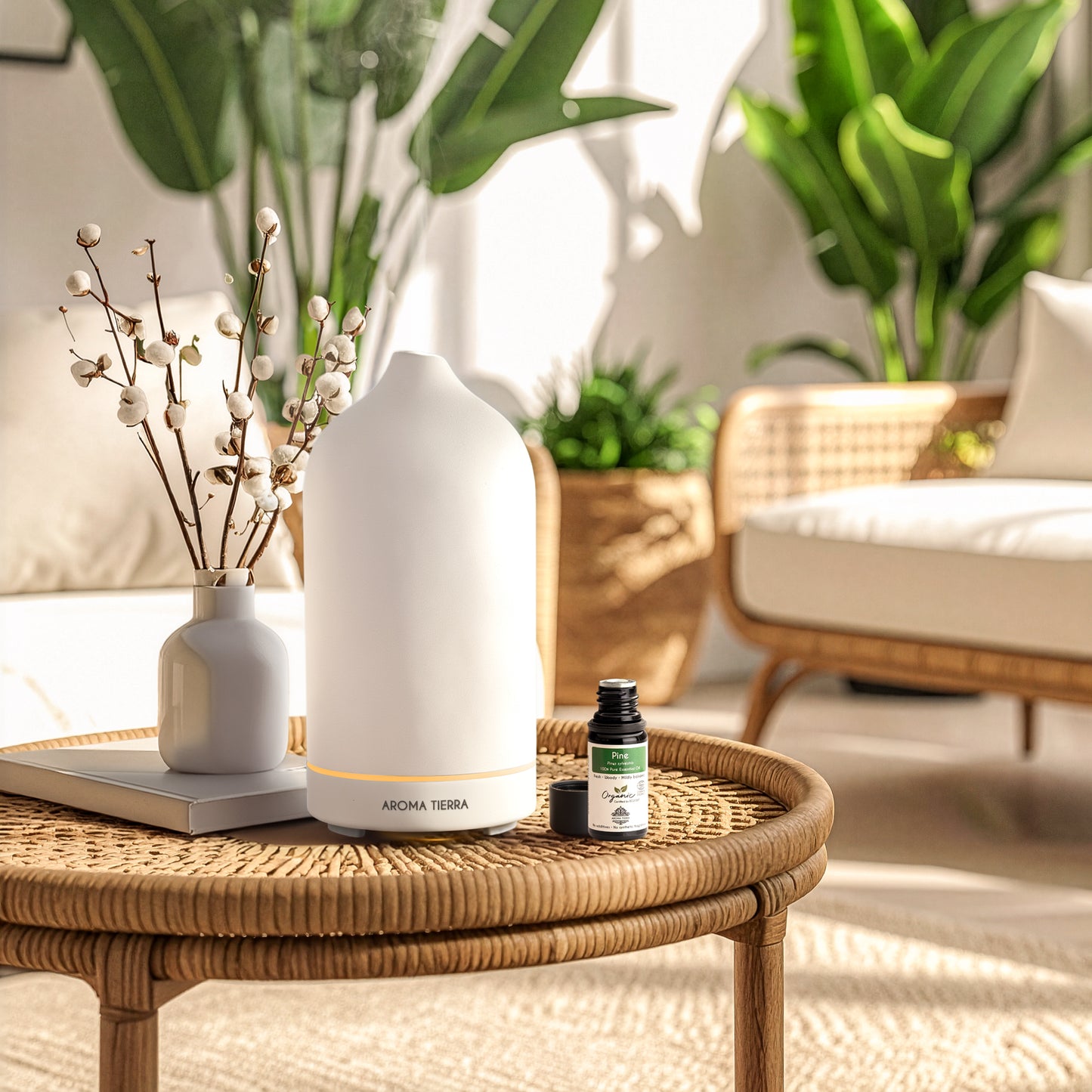 زيت الصنوبر العضوي الأساسي