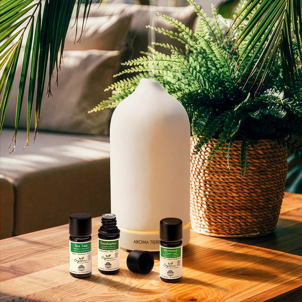 Baume Ravintsara Organic Ravintsara Essential Oil — 100% Pure, Undiluted | Aroma Tierra
