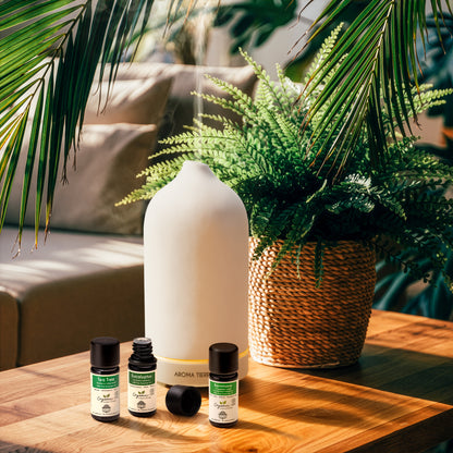 زيت شجرة الشاي العضوي الأساسي