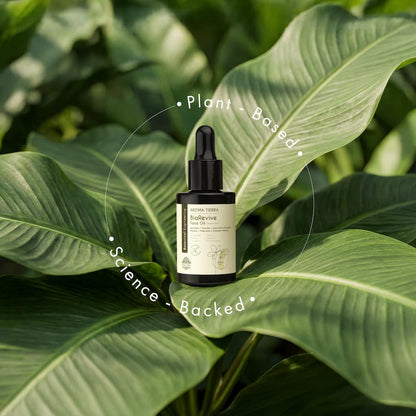 BioRevive Face Oil – High-Performance Oil for Normal & Combination Skin