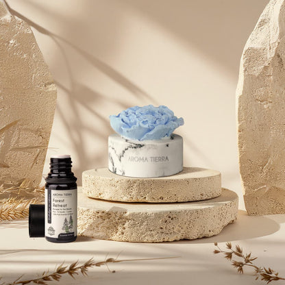 Forest Retreat Essential Oil Blend – Pine, Cypress & Woody Aroma