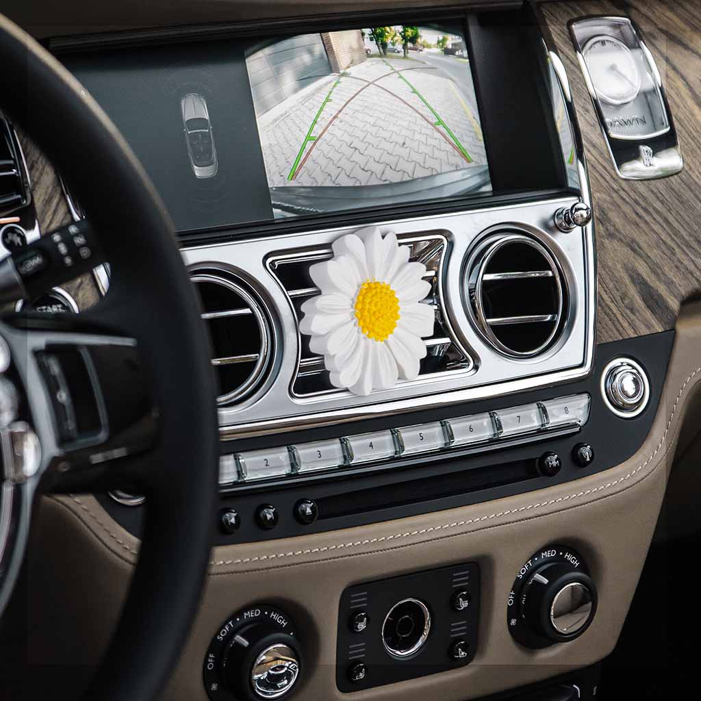 Best diffuser for car