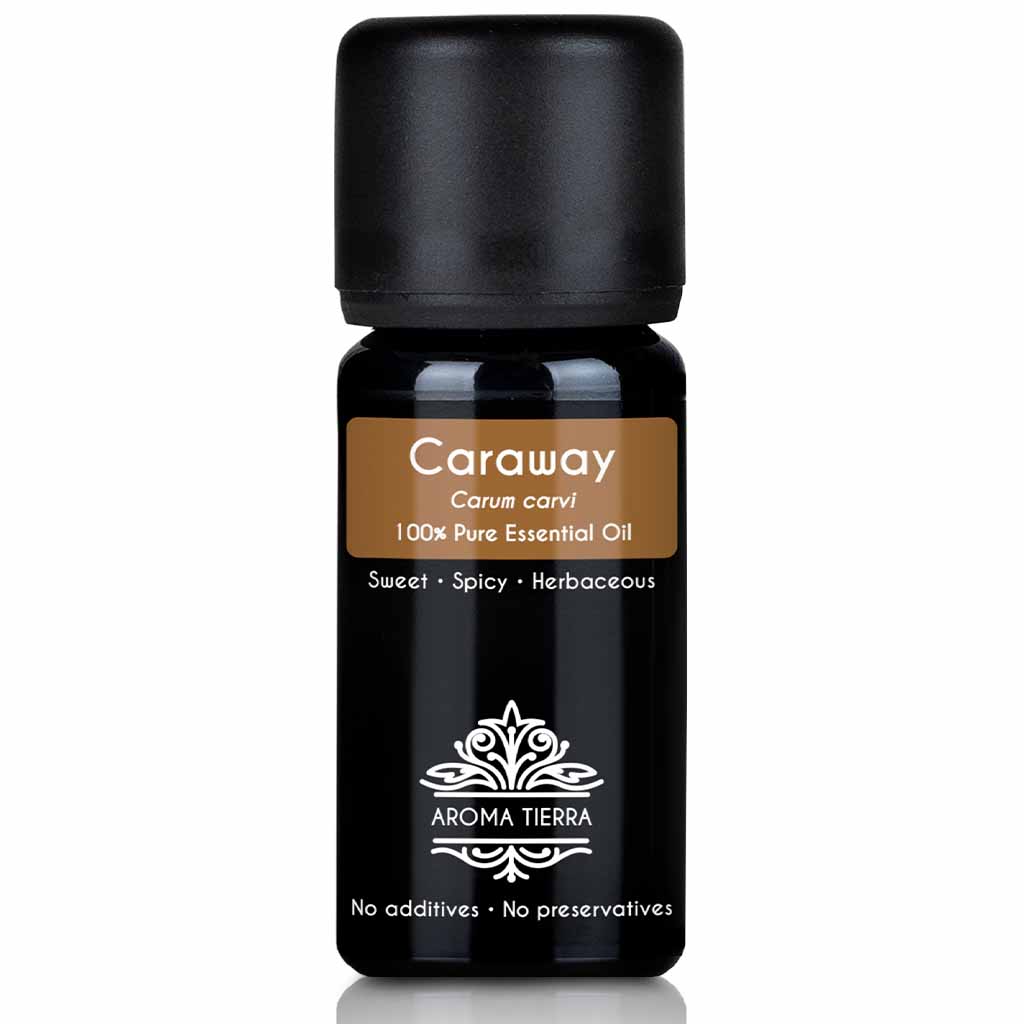 Aroma Tierra Caraway essential oil steam distillation of Caraway seeds, Carum carvi, 10 ml, boost libido and sexual energy. 
