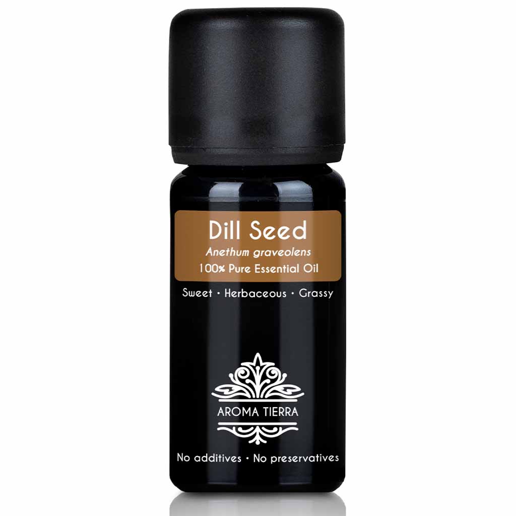 Aroma Tierra Dill essential oil steam distillation  of Dill seeds, Anethum graveolens, 10 ml