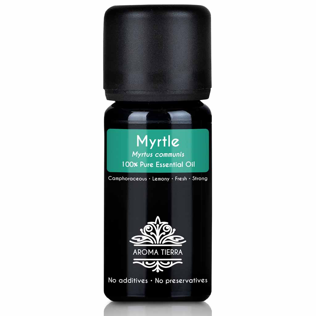 myrtle essential oil pure myrtus communis