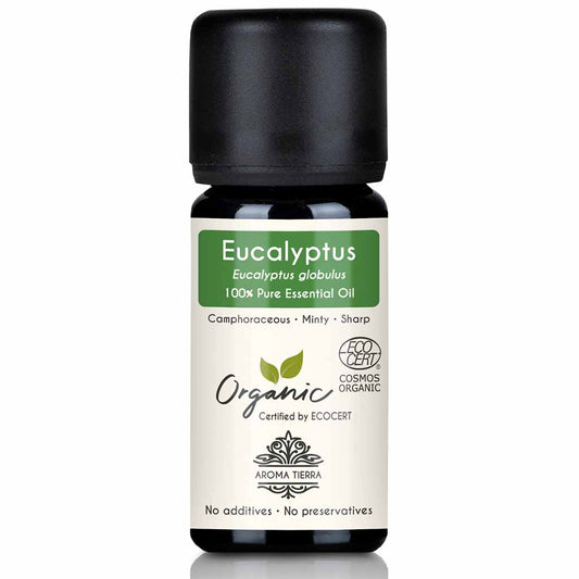 organic eucalyptus essential oil diffuser humidifier room