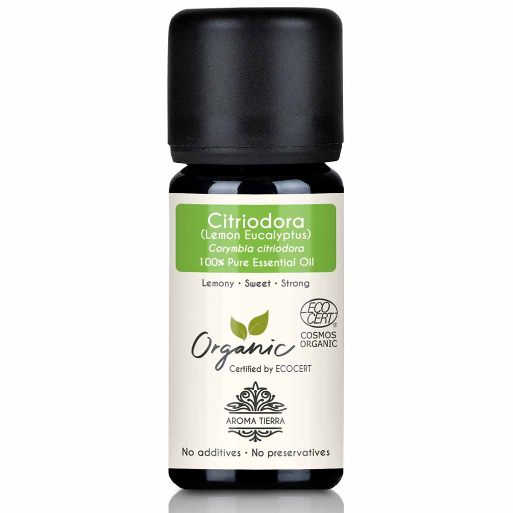 Aroma Tierra Citriodora essential oil team steam distillation of dried leaves and twigs of the organic lemon eucalyptus tree Corymbia citriodora, 10 ml.