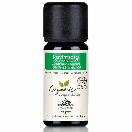 Aroma Tierra Organic Ravintsara Camphor essential oil steam distilation of leaves of organic Cinnamomum camphora, 10 ml. 