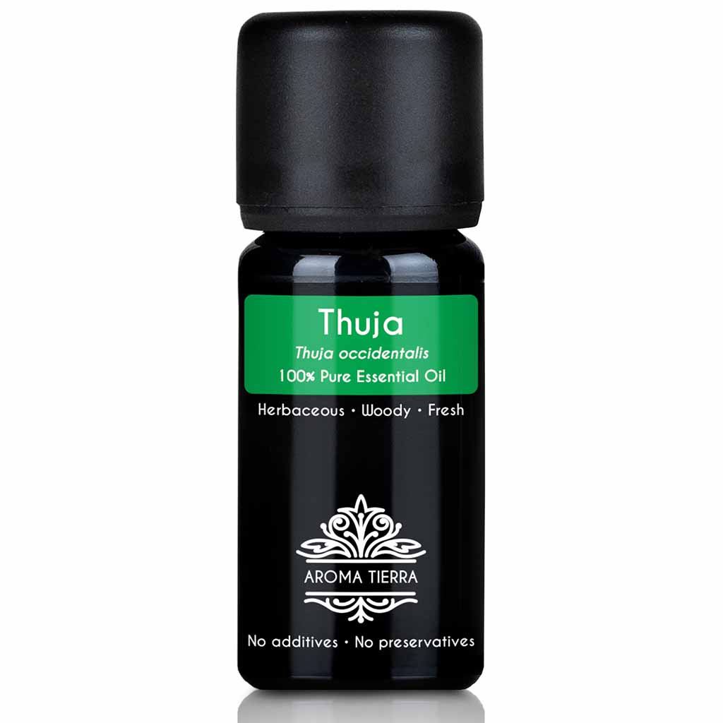 pure thuja essential oil cedar leaves