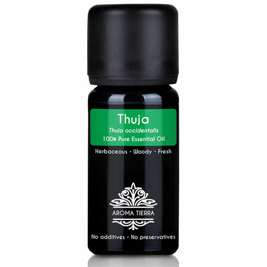Aroma Tierra Thuja essential oil steam distillation of fresh branch ends and leaves of Cedar, Thuja occidentalis,10 ml. 