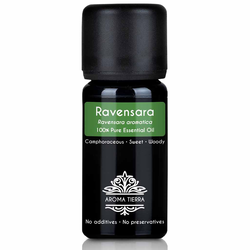 ravensara essential oil pure