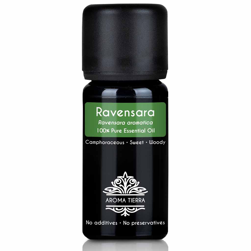 Aroma Tierra Ravensara essential oil steam distillation of the leaves of Ravensara aromatica, 10 ml