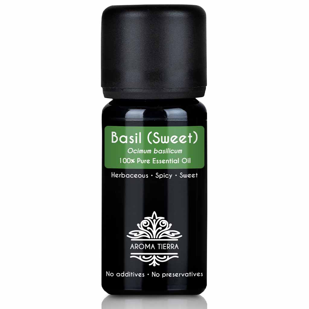 Aroma Tierra Basil (sweet) essential oil team steam distillation of leaves of Sweet Basil herb Ocimum basilicum, 10 ml. 