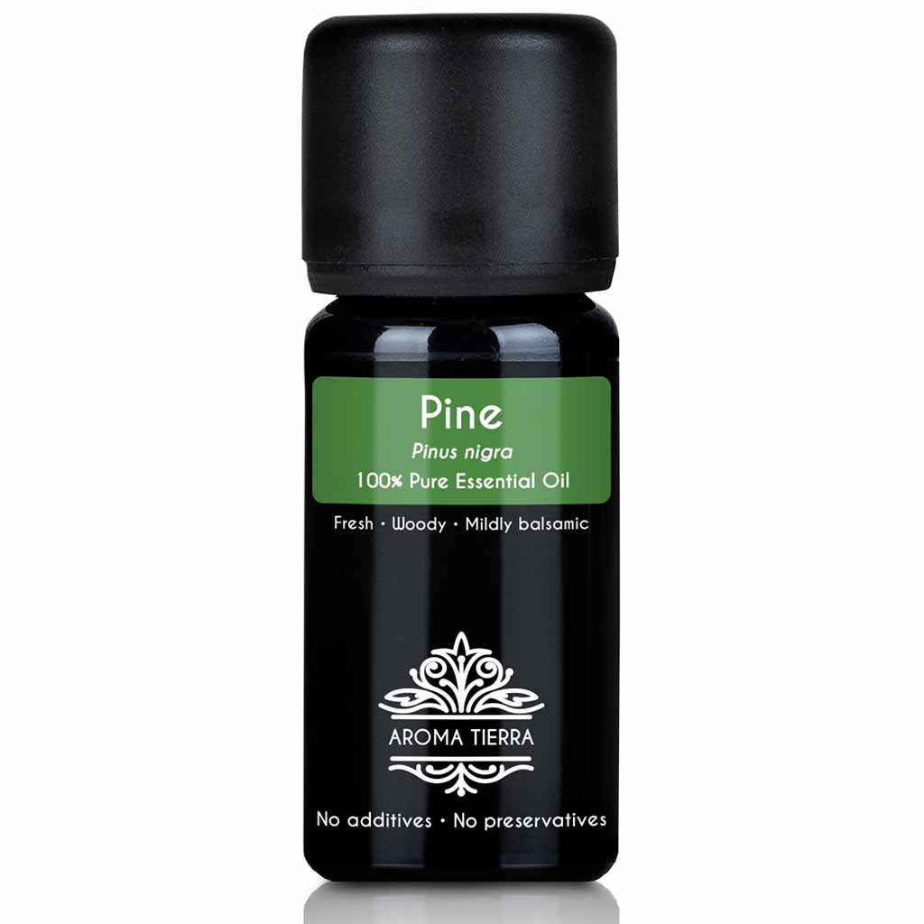 Aroma Tierra Pine essential oil steam distillation of Scotch Pine needles, Pinus sylvestris, 10 ml 