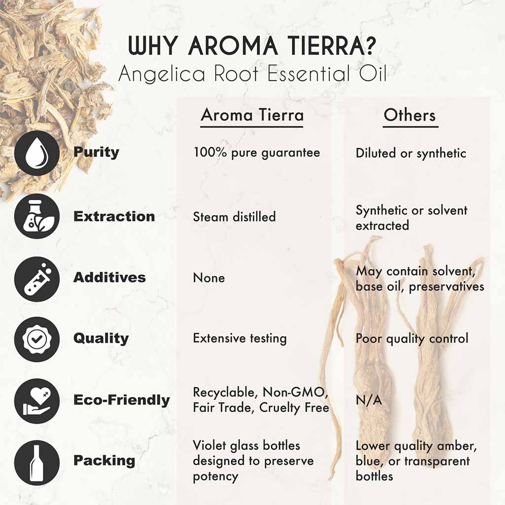 Aroma Tierra Angelica Root essential oil cough relief, natural expectorant 
