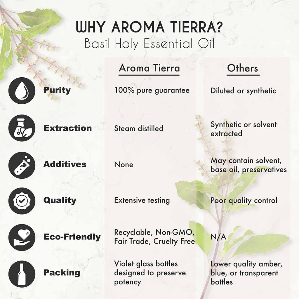 Aroma Tierra Basil holy or tulsi essential oil best for diffuser, adaptogen, relaxation