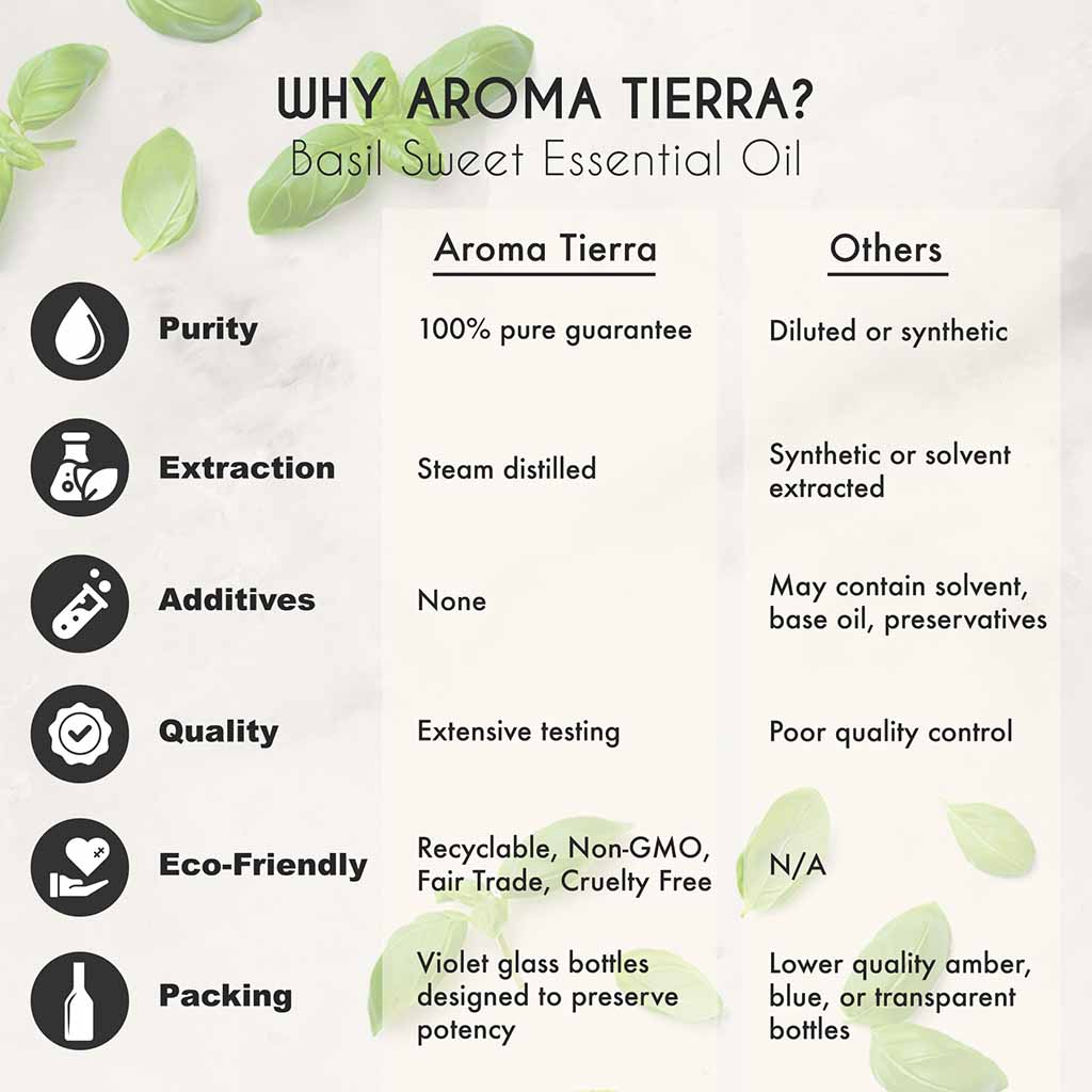 Aroma Tierra Organic basil sweet essential oil from India, clears nasal congestion, relieves cough. 