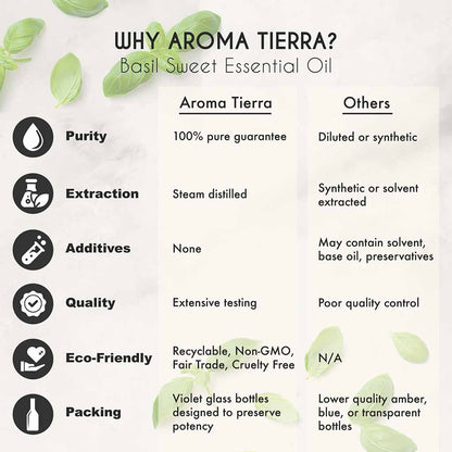 Aroma Tierra Organic basil sweet essential oil from India, clears nasal congestion, relieves cough. 