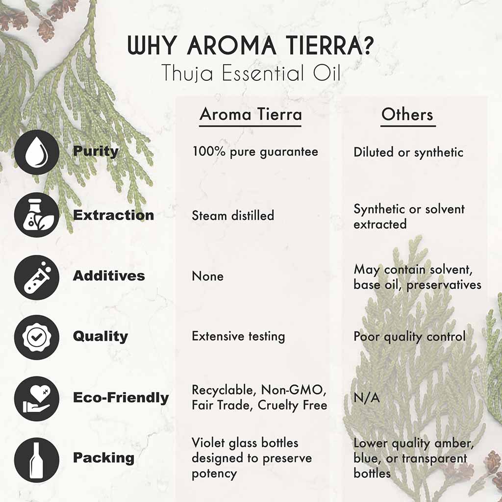 Aroma Tierra Pure  Thuja essential oil from France, fights infections, purifies air. 