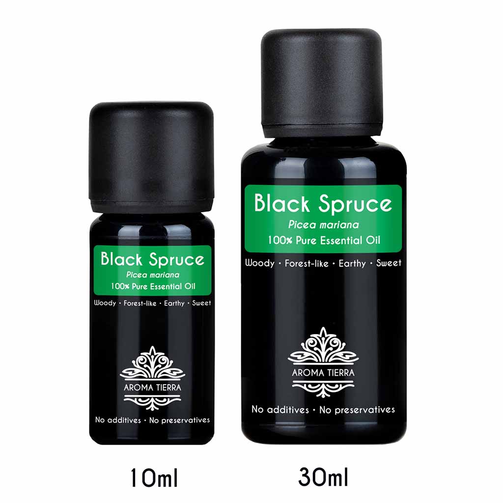 Aroma Tierra Black Spruce essential oil steam distillation of leaves of the Black Spruce needle like leaves ,Picea mariana. 
