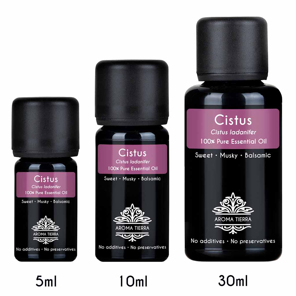 cistus essential oil diffuser aromatherapy perfume