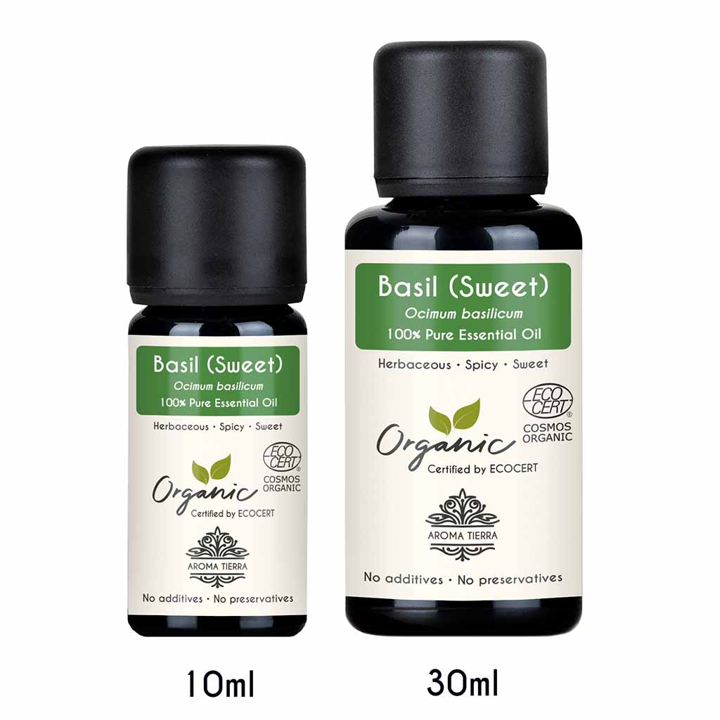 Aroma Tierra Organic basil sweet essential oil best for diffusers with herbaceous, and spicy aroma. Enhance focus and mental clarity.  