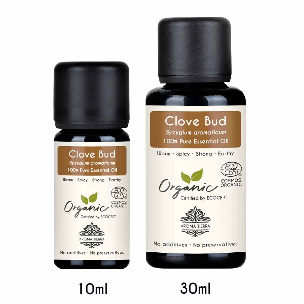 Aroma Tierra Organic Clove Bud essential oil relieves coughing and congestion, boost immunity.