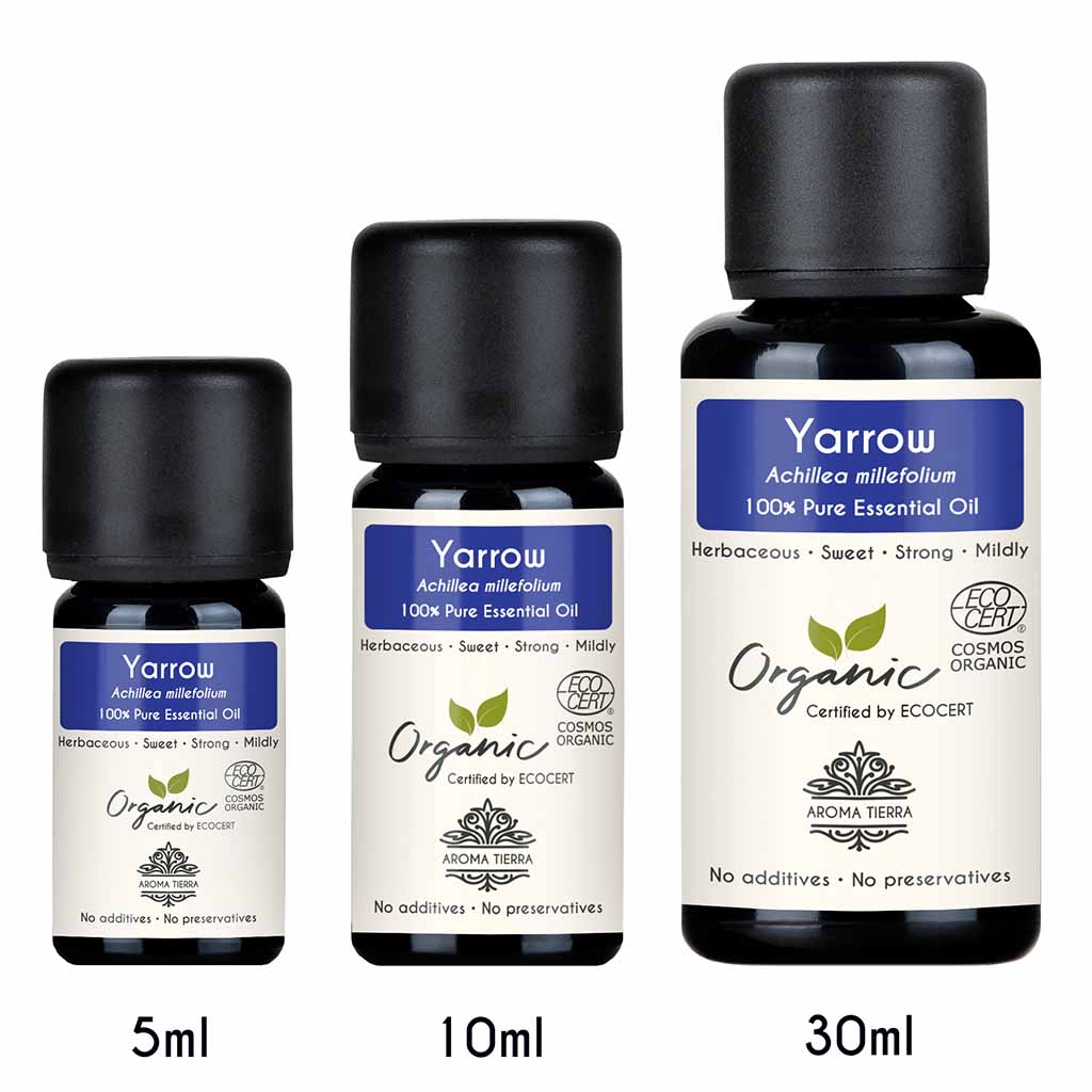 Aroma Tierra Organic Yarrow essential oil steam distillation of flowering ends of Yarrow , Achillea millefolium. 